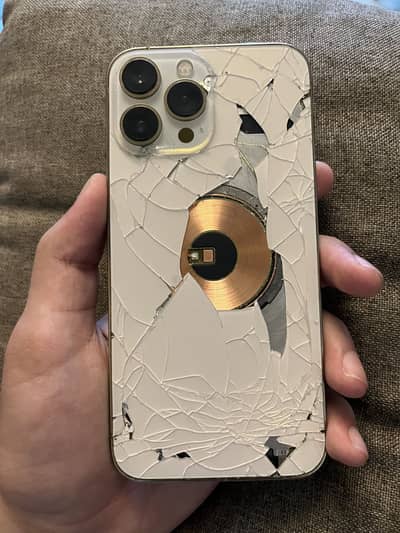 Apple iPhone 13 Pro Max