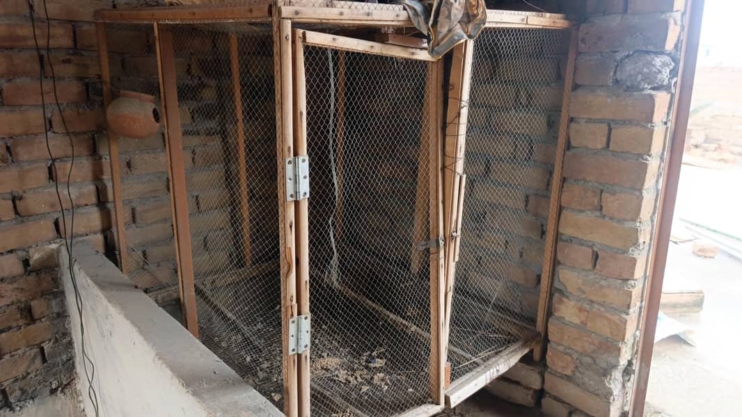 cages 3