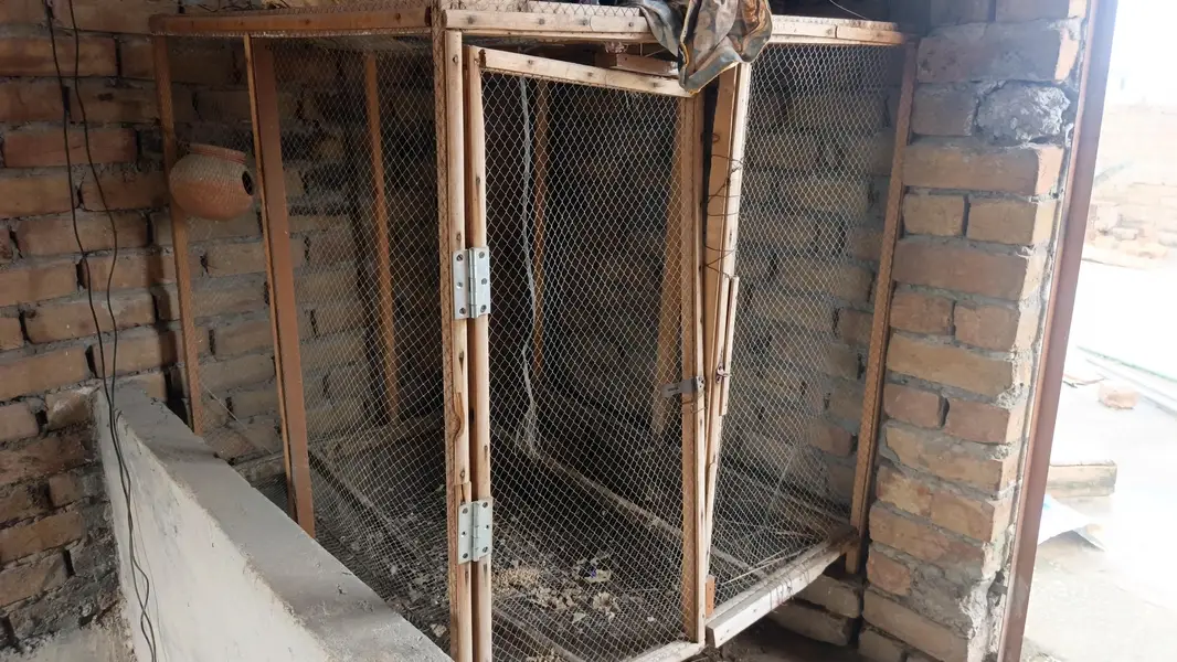 cages — photo 4