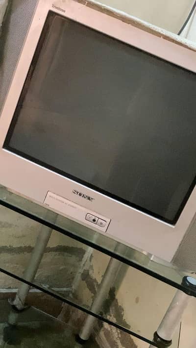 Tv with trolly
