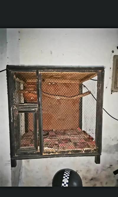 chance wala cage