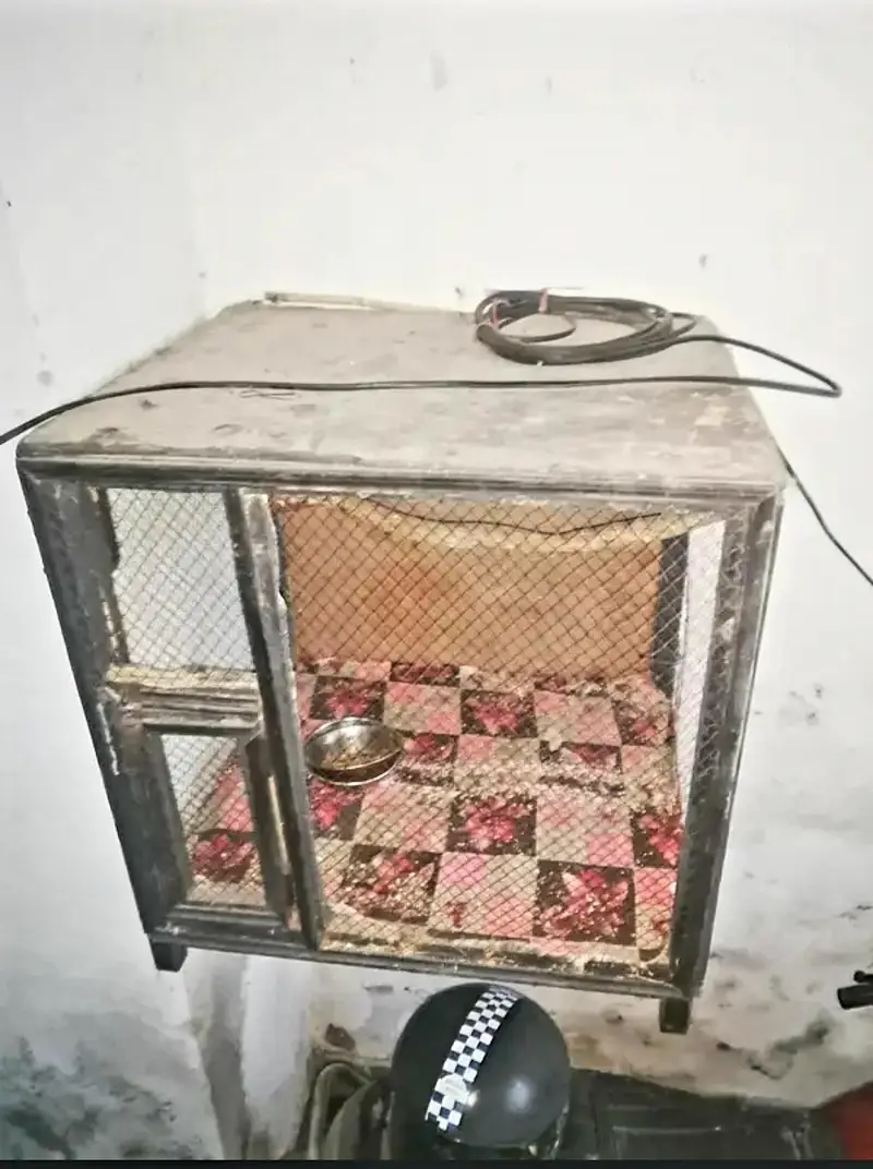 chance wala cage — photo 2