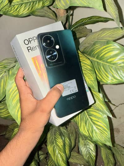 OPPO Reno11 5G with box