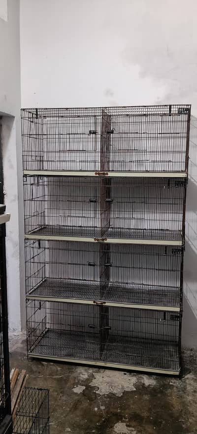 Cage Ali bird cage