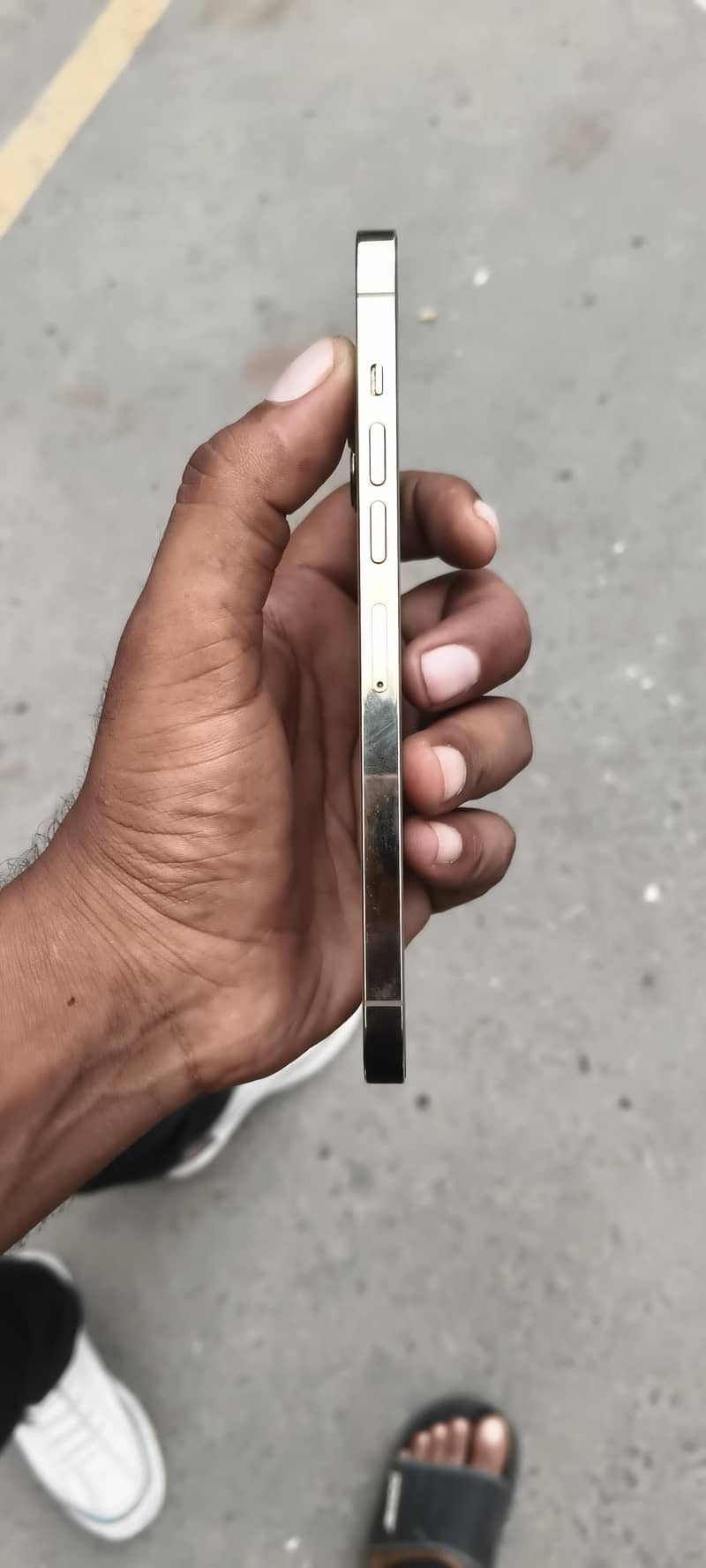 Apple iPhone 13 Pro Max 2
