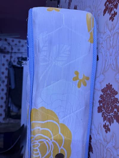 Canon Caricia Spring 8inch Mattress for Sale