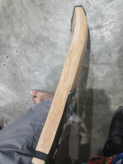 player edition bat best choice for big sixes