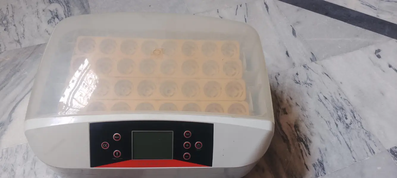 incubator 32 eggs — photo 2