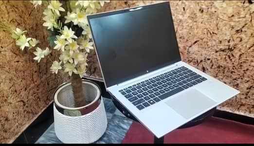 HP EliteBook 845 G10 (14-inch Laptop)
