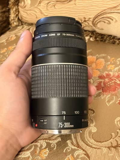 Canon EF 75-300mm lens