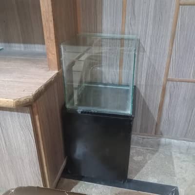 aquarium with table