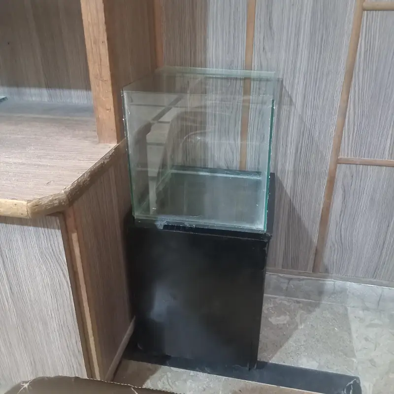 aquarium with table