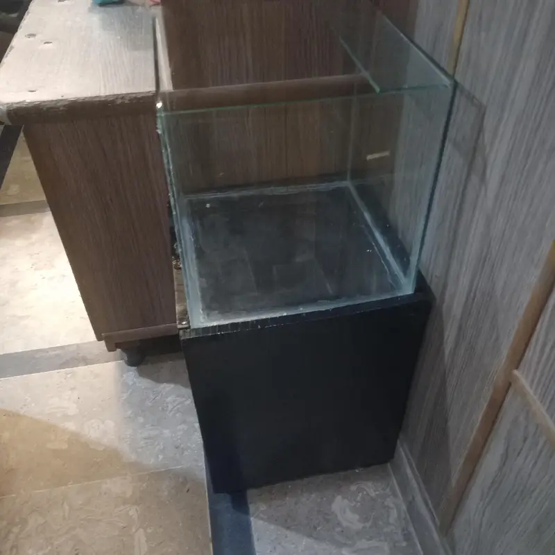 aquarium with table — photo 3