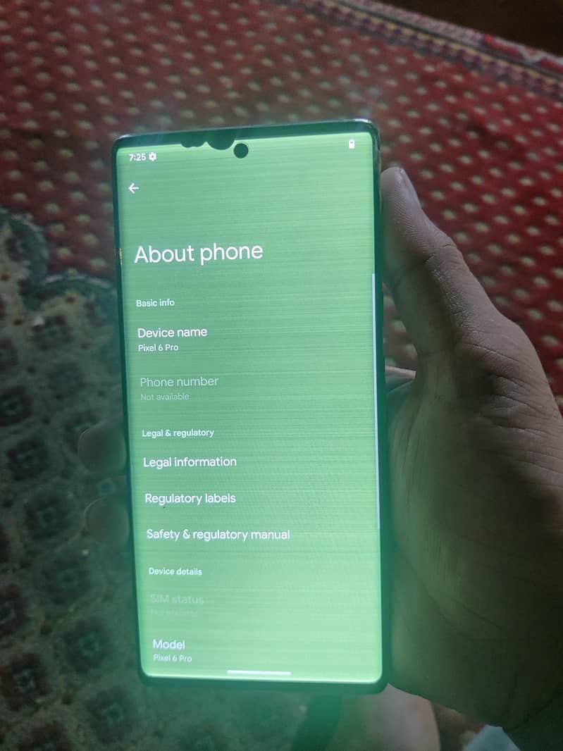Google Pixel 6 Pro 1