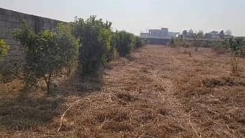 This Is Your Chance To Buy Agricultural Land In Multi Residencia & Orchards - Block D