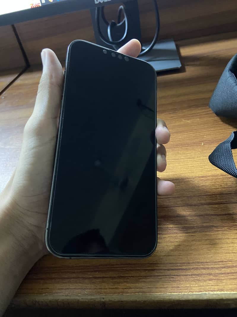 Apple iPhone 13 Pro Max 1