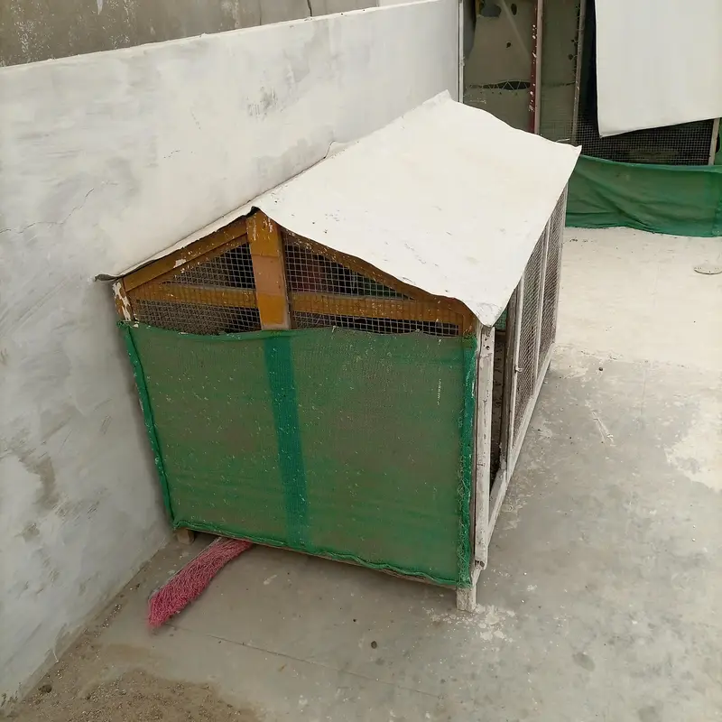 cages for sale — photo 2