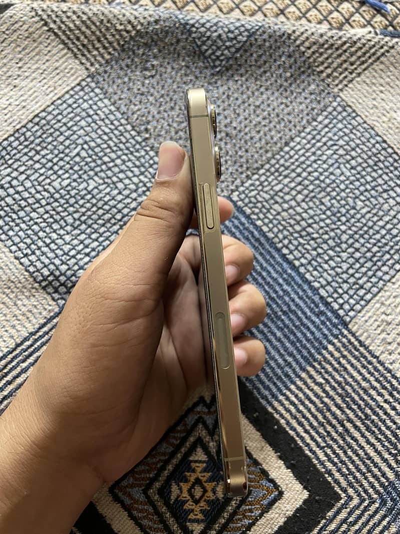 Apple iPhone 13 Pro Max 1