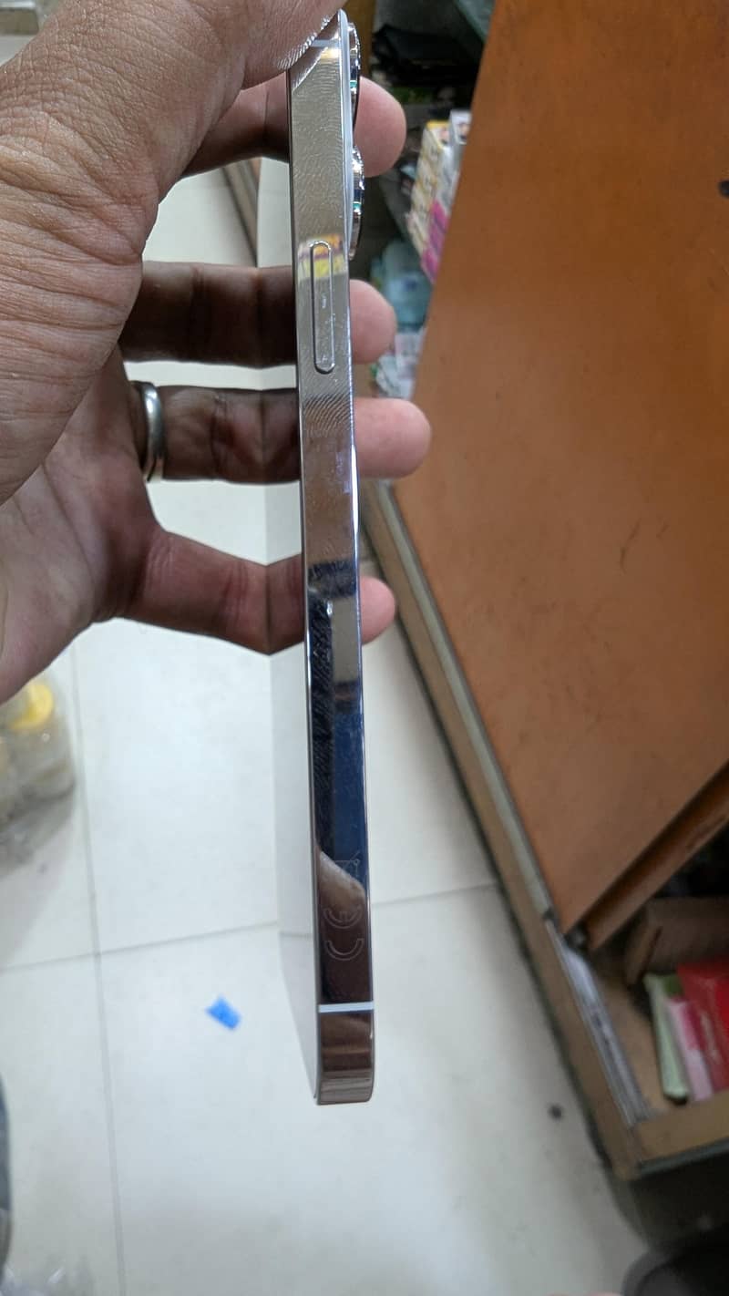 Apple iPhone 13 Pro Max 1
