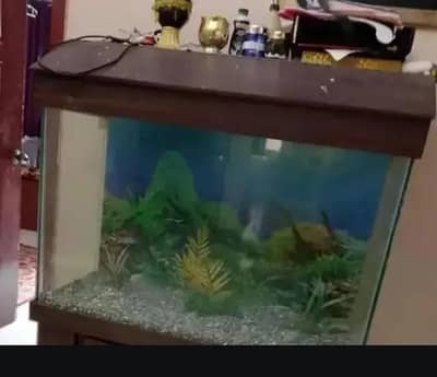 Fish Aquarium with Wooden Cabinet & Top Hood Stand | Complete Setup