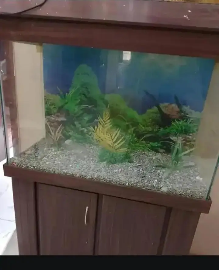 Fish Aquarium with Wooden Cabinet & Top Hood Stand | Complete Setup — photo 2