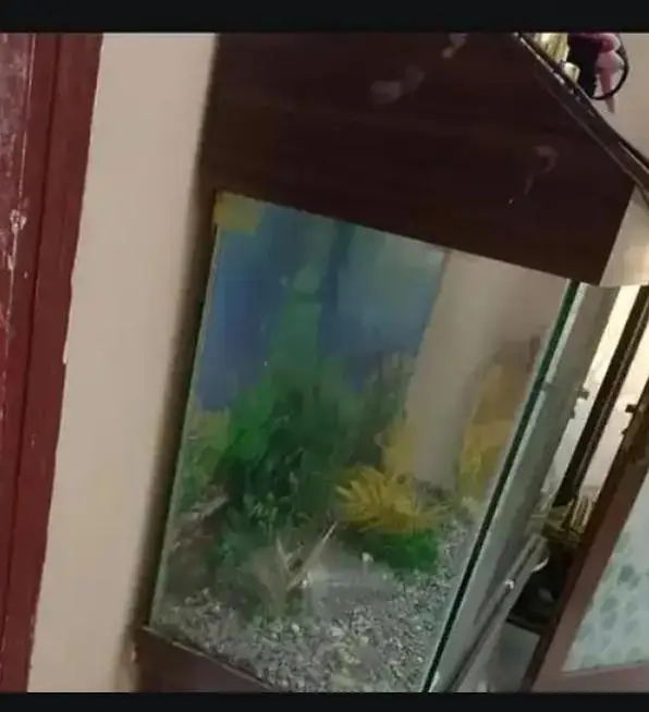 Fish Aquarium with Wooden Cabinet & Top Hood Stand | Complete Setup — photo 3