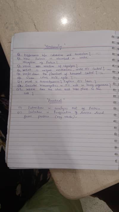 AIOU spring assignment