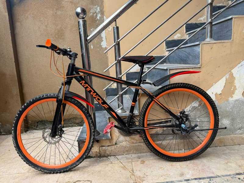 Mountain Bicycle 1