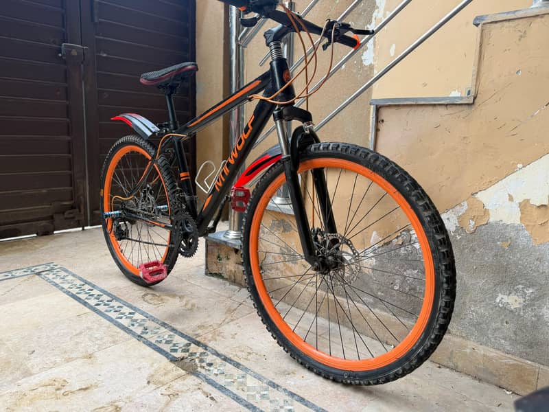 Mountain Bicycle 4