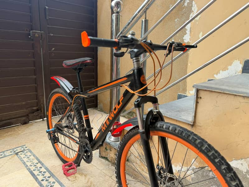 Mountain Bicycle 8
