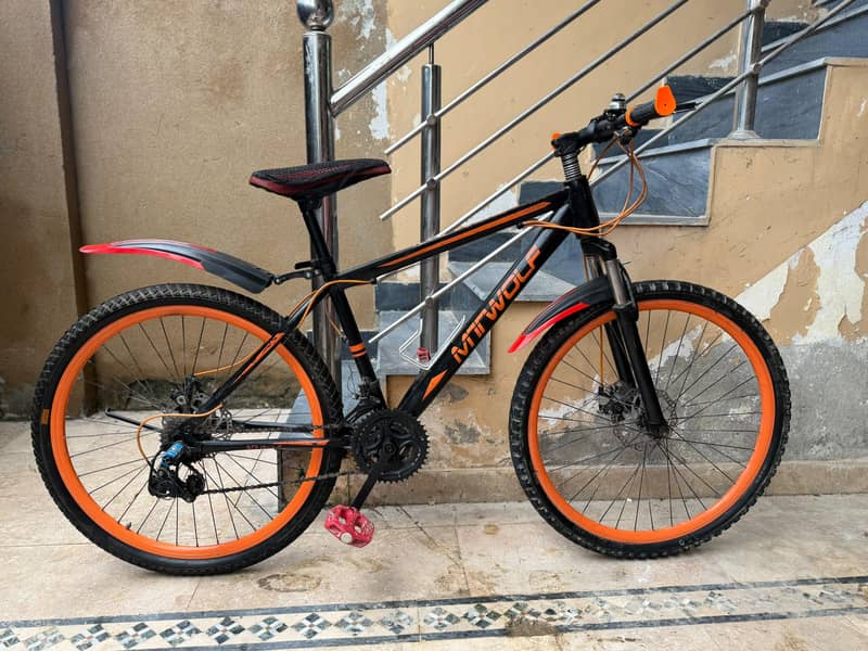 Mountain Bicycle 10
