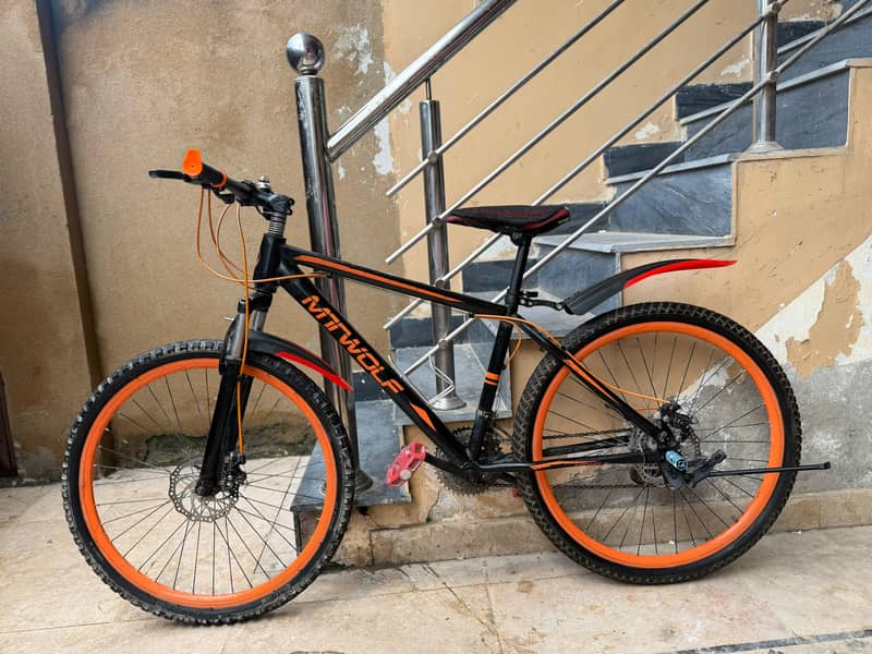 Mountain Bicycle 12