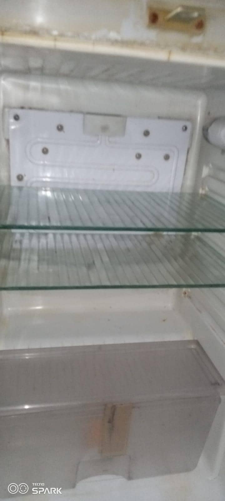 fridge 4