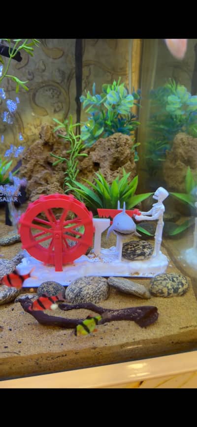Skeleton running Cuting fish