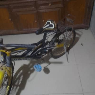 Bicycle for sale