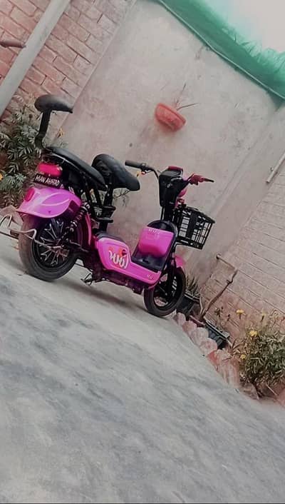 electric sacooti