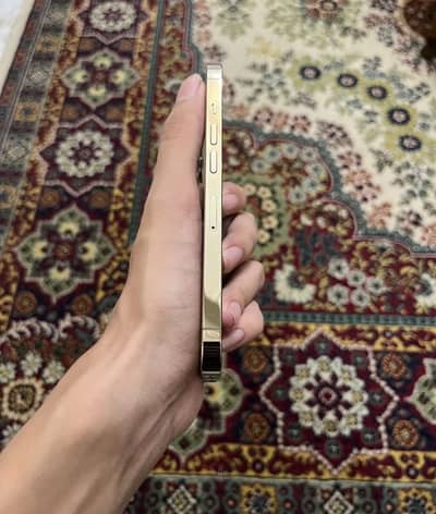 Apple iPhone 13 Pro