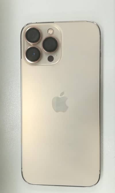 13 Pro Max Sim working