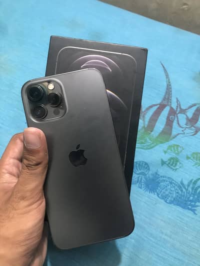 Apple iPhone 12 Pro Max with box