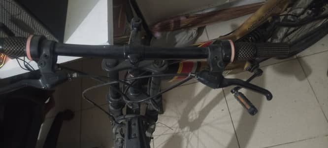 cycle adults ki