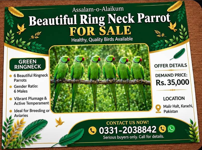 Ringneck 2