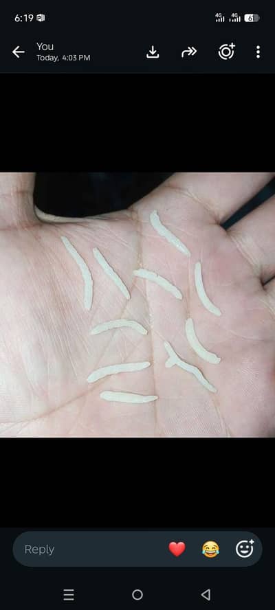 Kainat 1121 double steam rice for sale