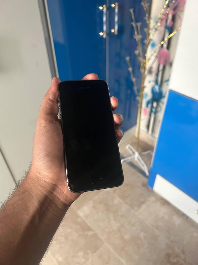 Apple iPhone 5s 2