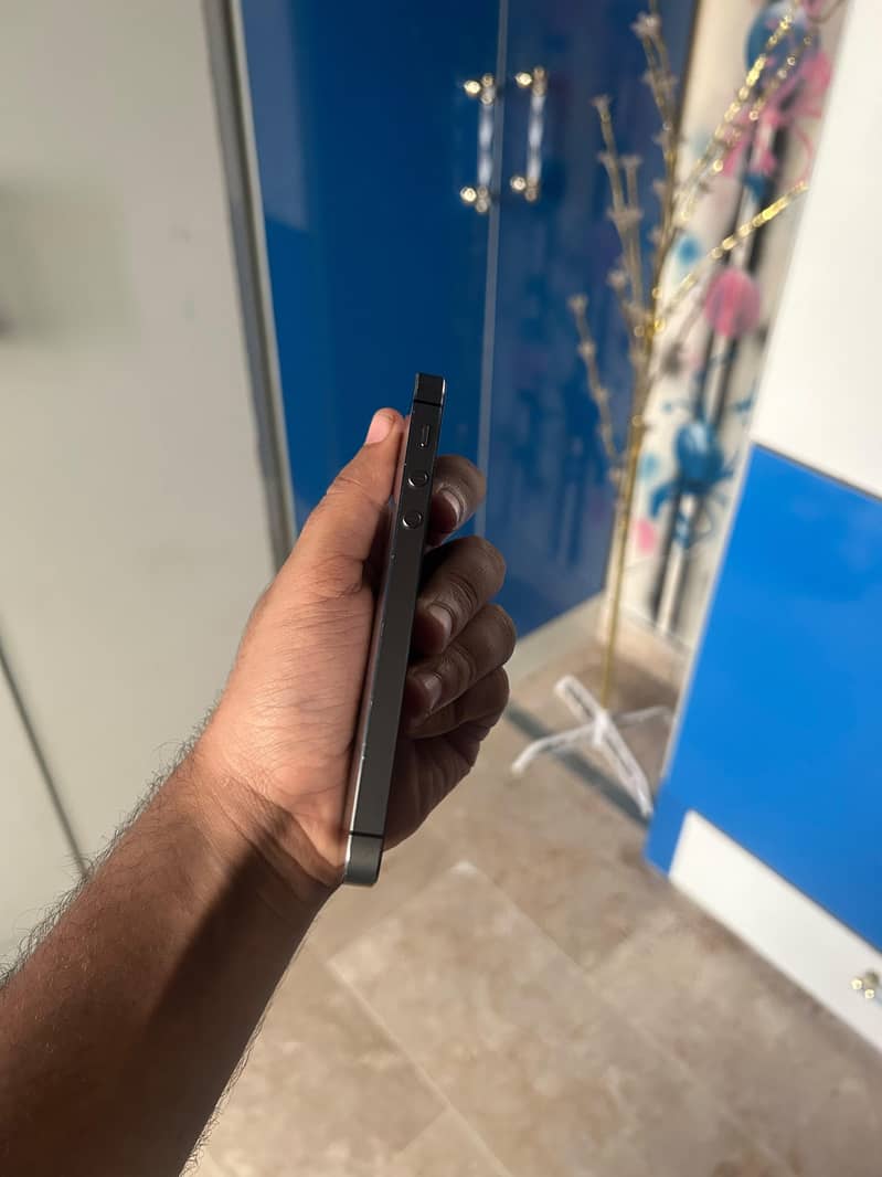 Apple iPhone 5s 5