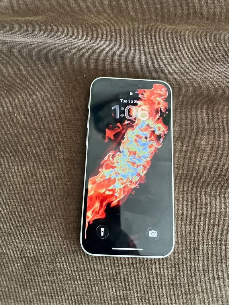 Apple iPhone 12 mini 1