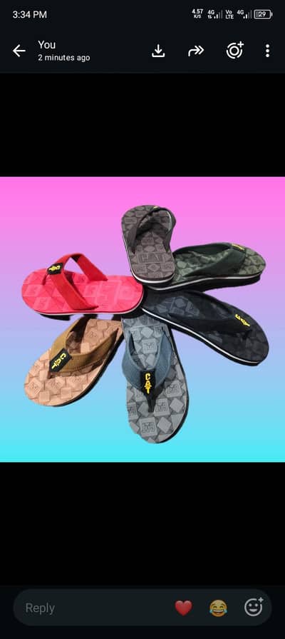 hawai slippers