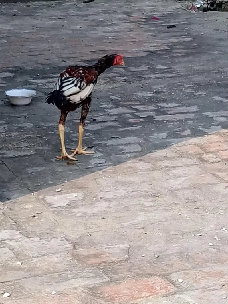 Ghar shift krnaa ha — photo 3