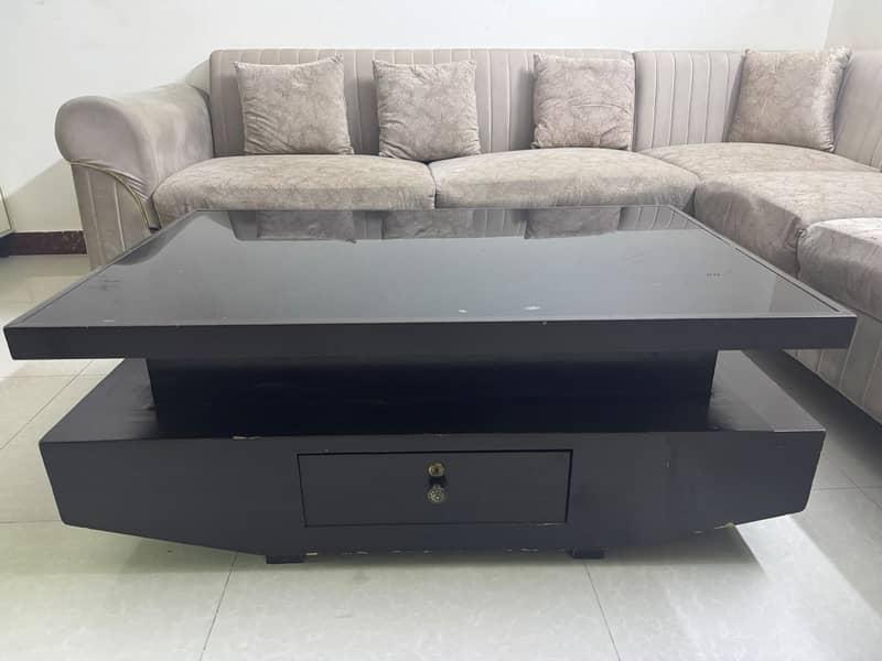 L Shape Sofa with Center Table 3