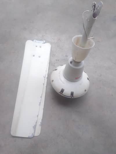 Royal Fan For Sale