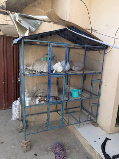 Hen metal cage